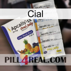 Cial 11